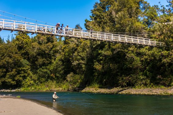 Tongariro River