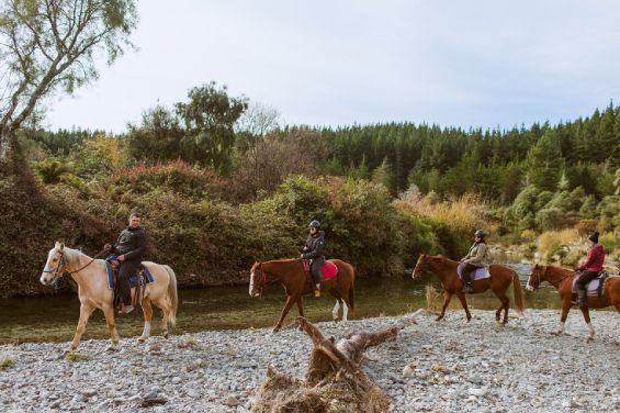 Horse trekking