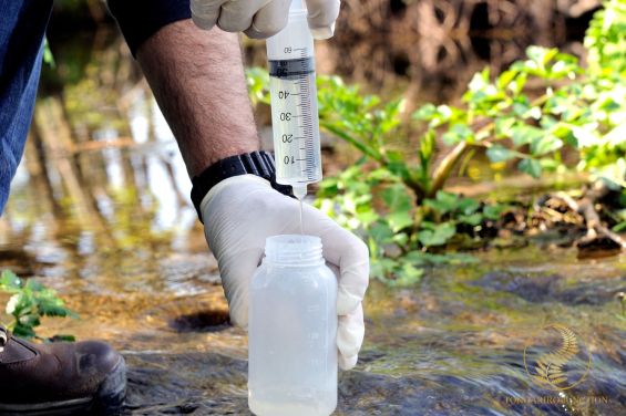 Freshwater Ecology